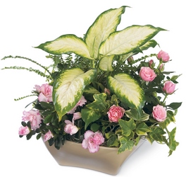 Garden of Grace Planter from Visser's Florist and Greenhouses in Anaheim, CA